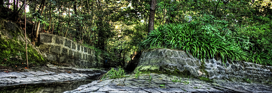 手机号测压下载
